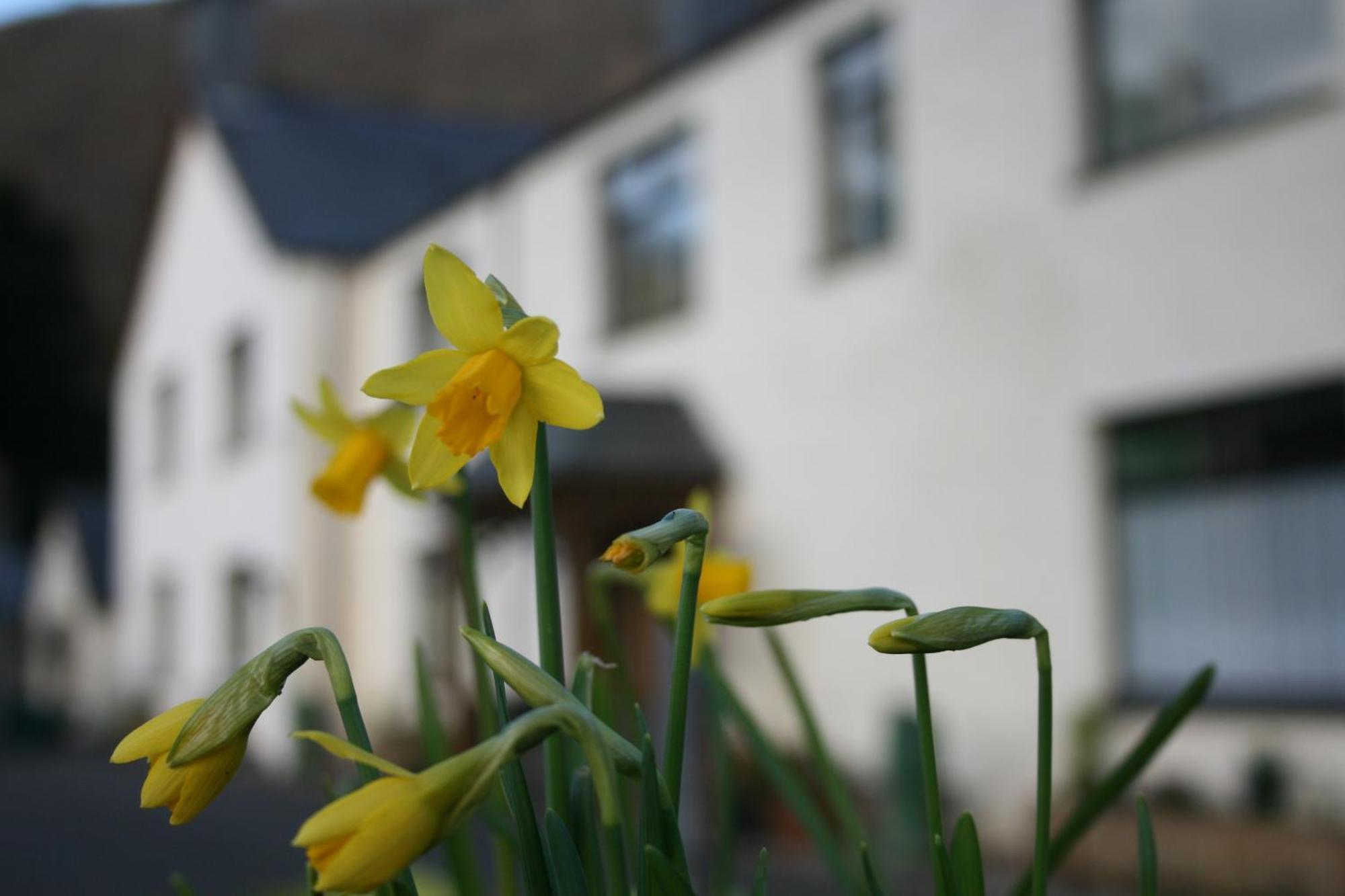 Padarn Apartment At Glanybala Holidays Llanberis Esterno foto