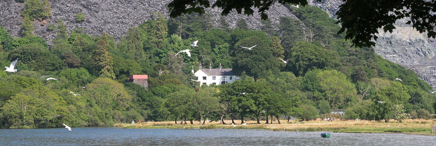 Padarn Apartment At Glanybala Holidays Llanberis Esterno foto
